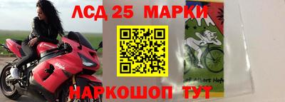 стаф Будённовск