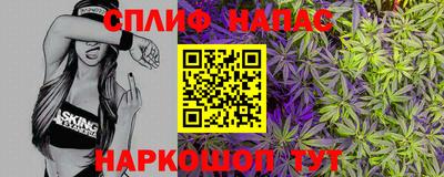 стаф Будённовск