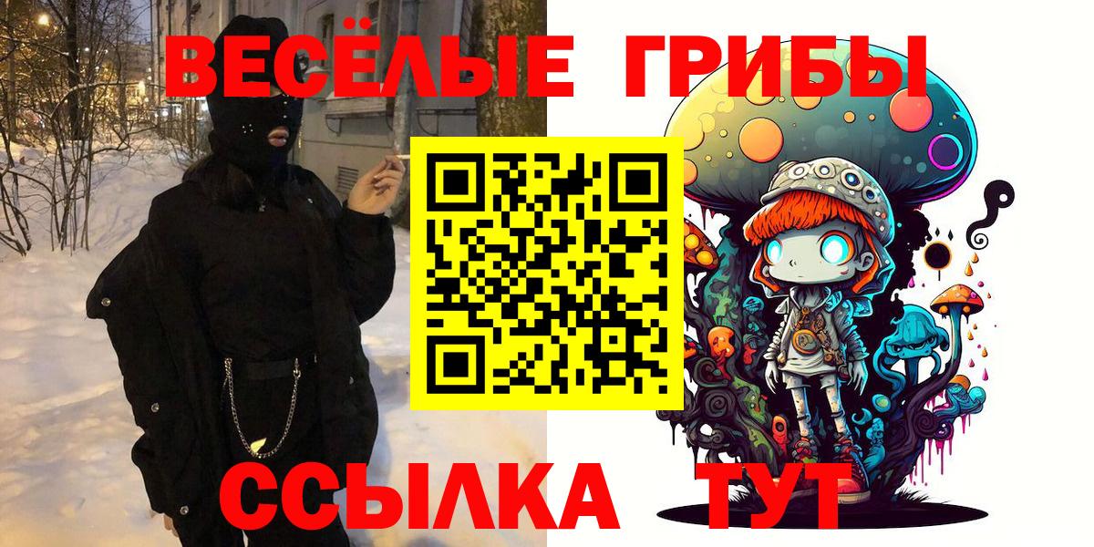 где купить наркоту  Псилоцибиновые грибы мухоморы  Вход с VPN  Волхов 