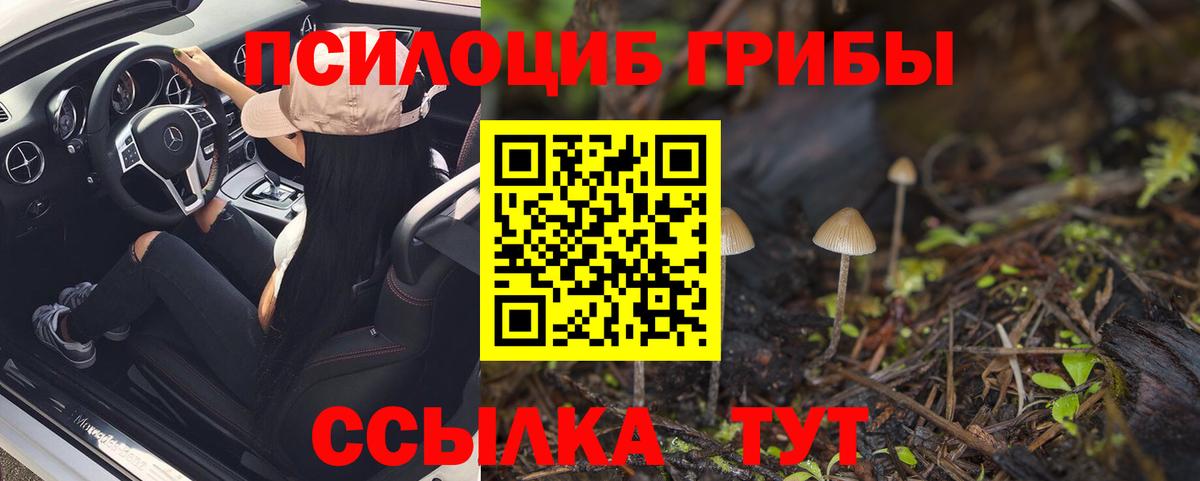 Псилоцибиновые грибы Magic Shrooms Волхов